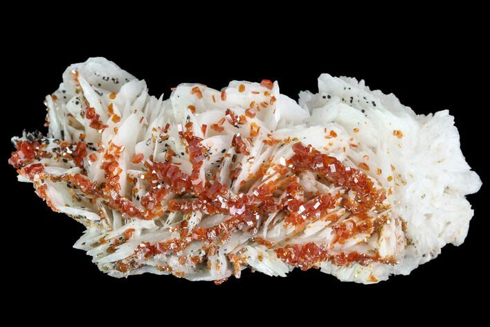 Ruby Red Vanadinite Crystals on Barite - Morocco #100695